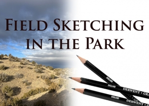 Field Sketching in the Park